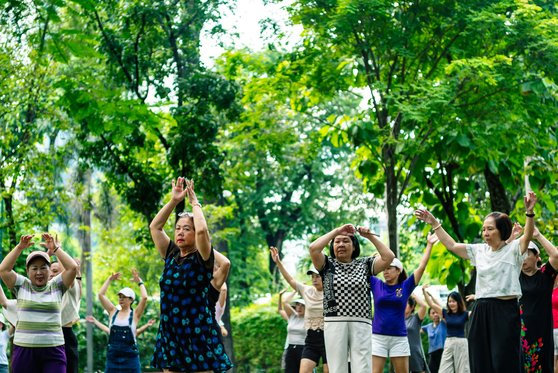 Older adults exercising together in a green park
