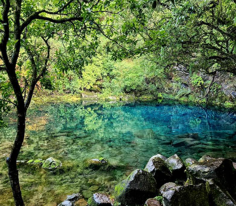 Clear blue-green water surrounded by peaceful native bush