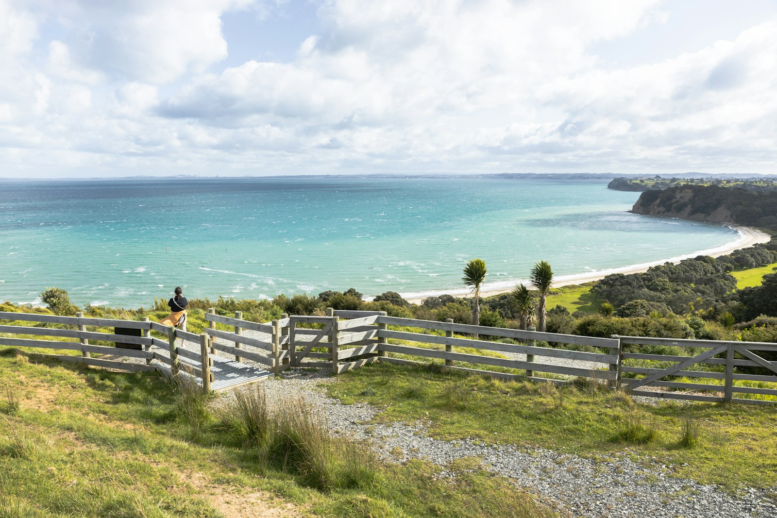 A coastal walking track above a turquoise New Zealand bay