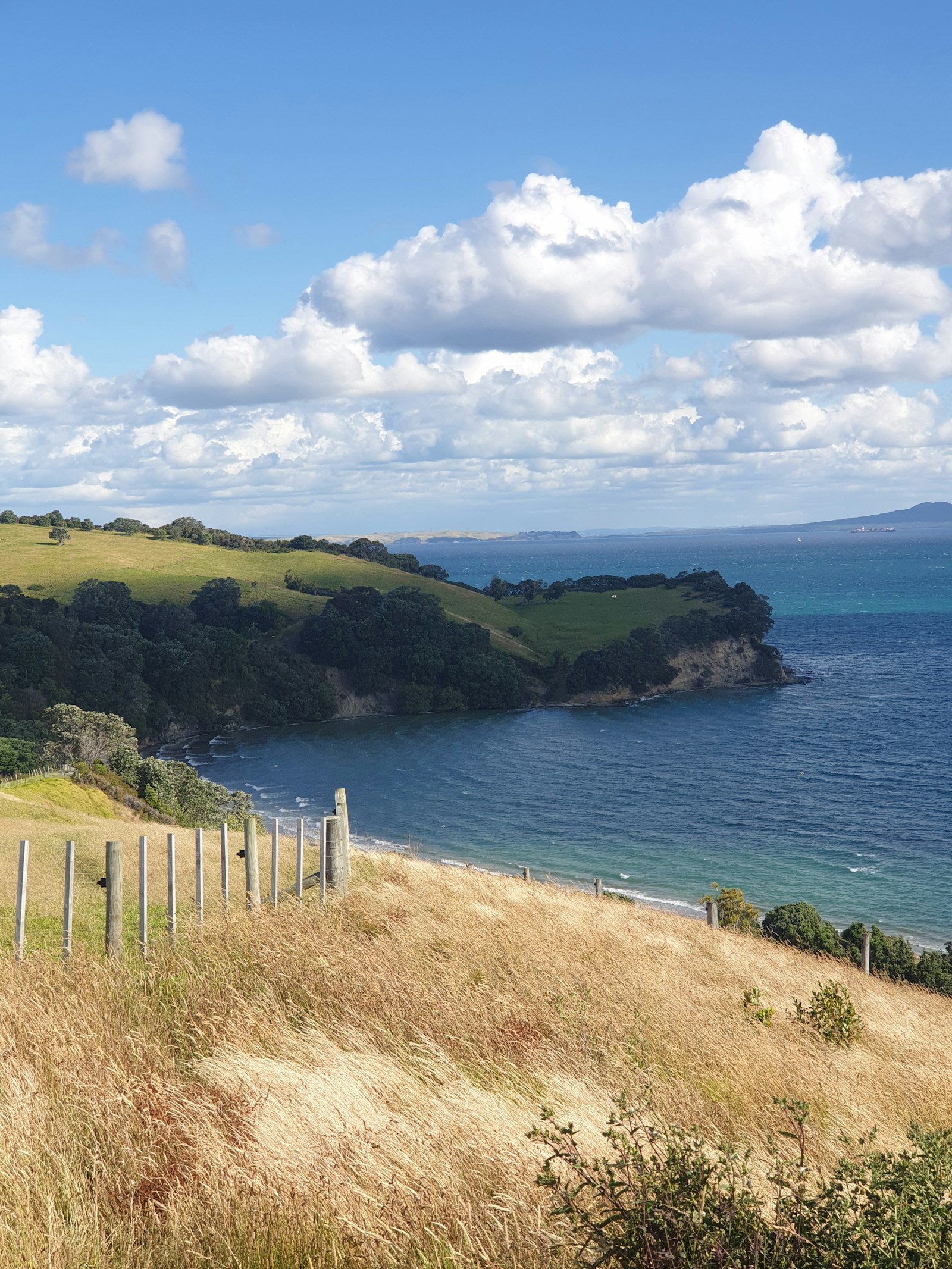 Green headland beside a blue New Zealand bay
