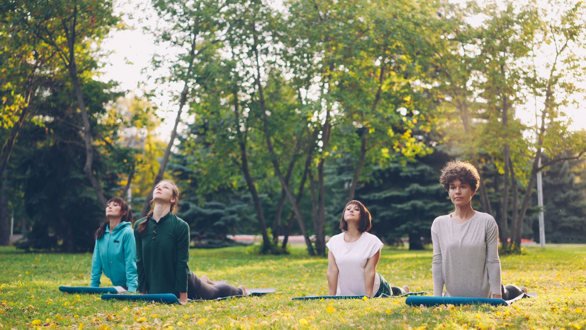 Four people practising yoga together in a leafy park